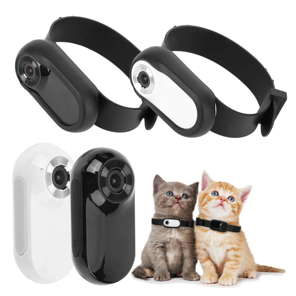 Camera Collar for Cats & Dogs Camera Collar for Cats & Dogs